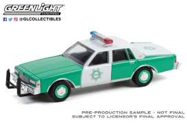 Chevrolet  - Caprice 1989 white/green - 1:64 - GreenLight - 42980B - gl42980B | Toms Modelautos