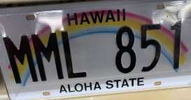 Funny Plates  - Hawaii MML-851  - Tac Signs - funHawaii | Toms Modelautos